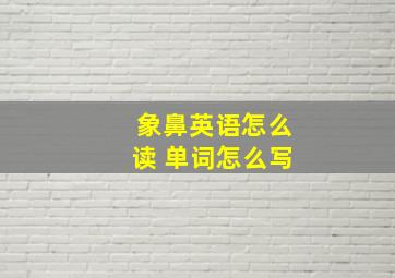 象鼻英语怎么读 单词怎么写